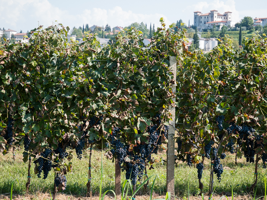 Zweisprachige Schilder an der Grenze